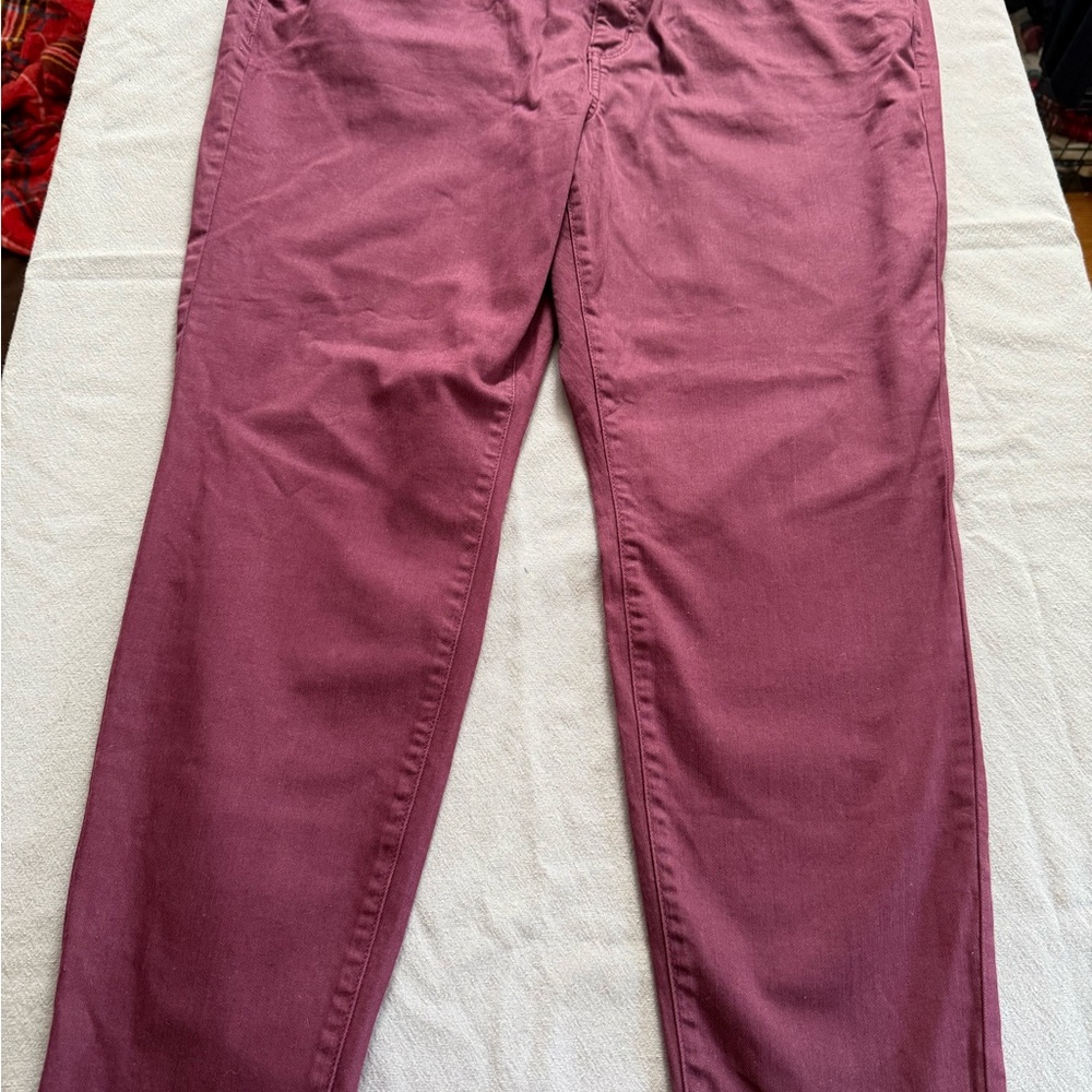 Lane Bryant Purple Straight Leg Jeans